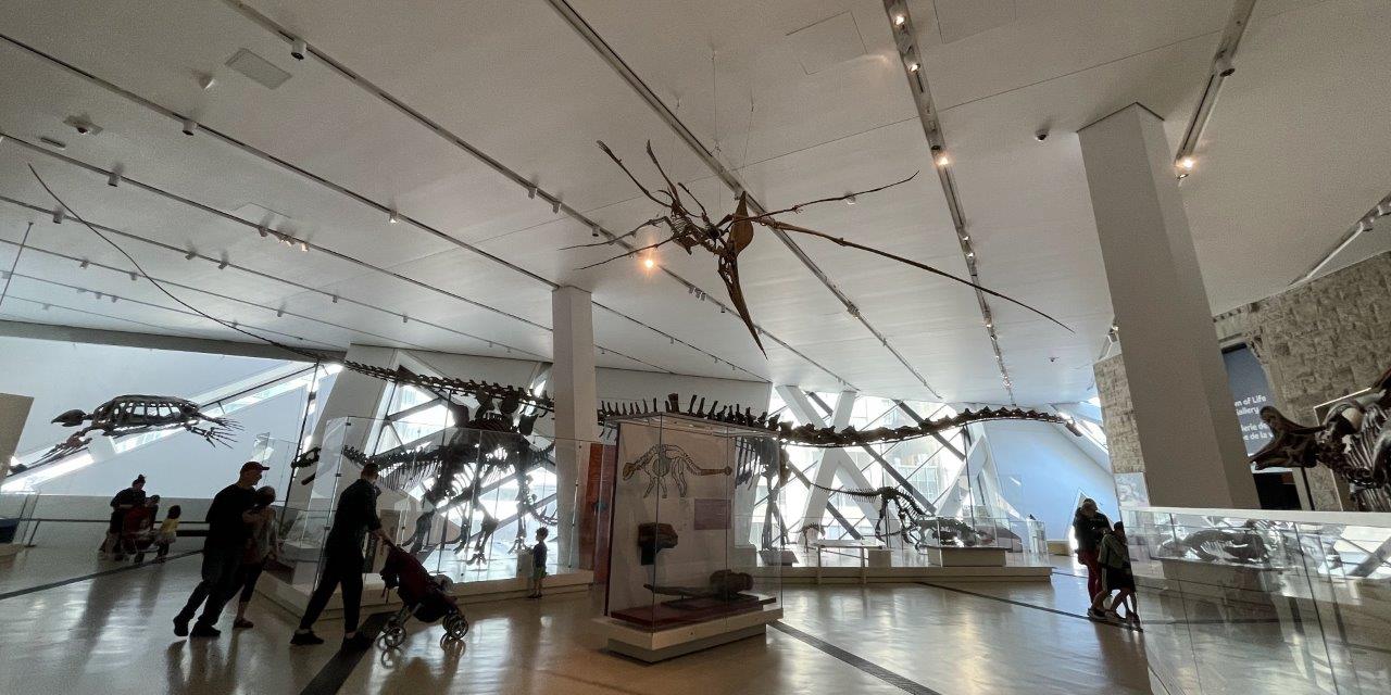 Dinosaurs
